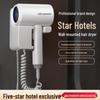 High-Power Wall-Mounted Blue Light Ion Hair Dryer for Hotels