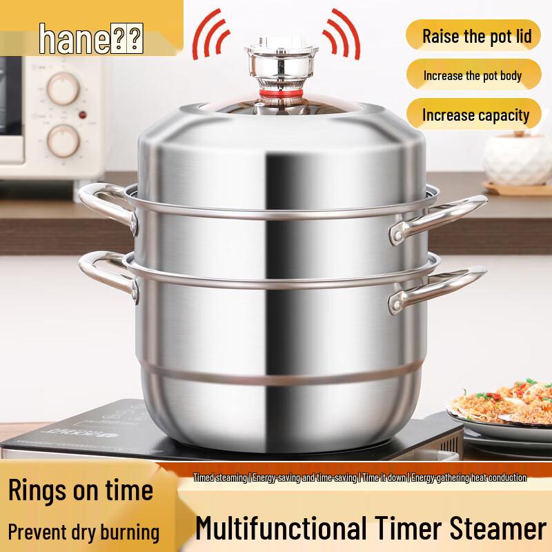 Hanle HL-DD77 Multi-function Timing Steamer