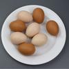 Fake Chicken Eggs PVC Simulation Boiled Egg Model Artificial Duck Eggs Help Hens Lay Eggs Poultry Hatching Chicken Coop Supplies