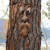 Tree Trunk Facial Feature Decoration Tree Eye Organ Set Outdoor Courtyard Pendant Design Home Tree Face