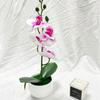 Aphrodite Simulation Phalaenopsis Flower Bonsai Home Living Decoration Room