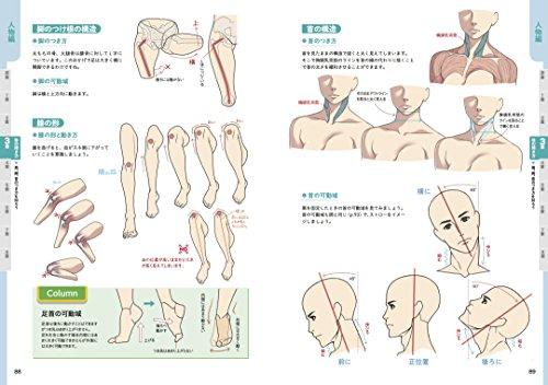 [Amazon.co.jp Exclusive] Illustrated Anatomy Book (Bonus PDF Data Included)