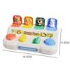 Interactive Pop up Animals Sorting Color Animal Activity Toy for Kid Fine Motor Skill Training Press Pull Button Montesorri Gift