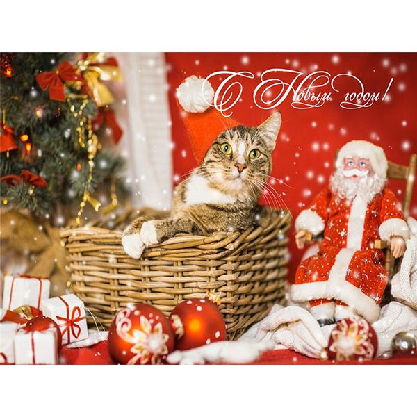 5D DIY pictură cu diamant Kit de artizanat pisică complet pătrat rotund broderie cu diamante animale cu punct de cruce Kit mozaic Decoratiuni de Crăciun