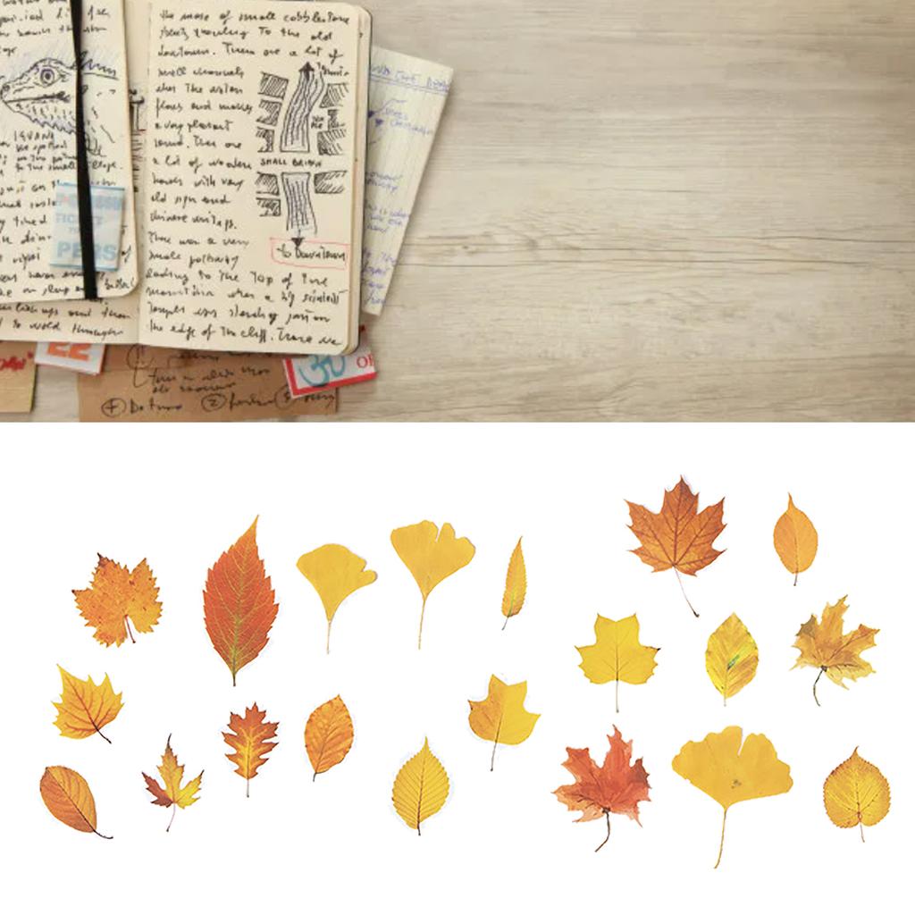 Leaf Scrapbook Stickers Decorative PET Fall Leaves Scrapbooking Decals for Journaling Photo Album 40pcs