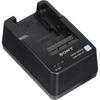 Sony Battery Charger BC-QM1