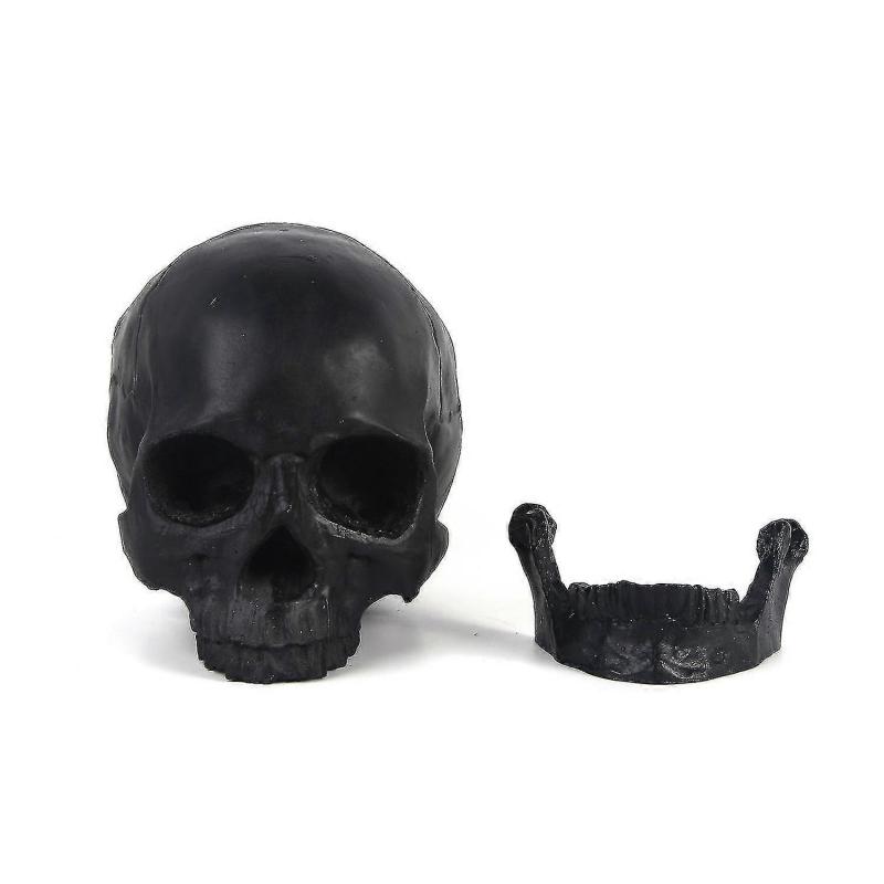 Halloween Decorations Halloween Skeleton Model Halloween Skeleton Head Human Skull Model Skeleton Collectible Figurines Human Skull Head1pcsblack