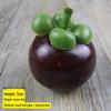 Plastic Foam Weighted Fruit & Vegetable Decorative Props