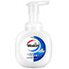 Walch Foaming & Liquid Antibacterial Hand Wash