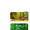 Silent All-in-One Fish Tank Filter with Built-in Oxygenation and Water Circulation