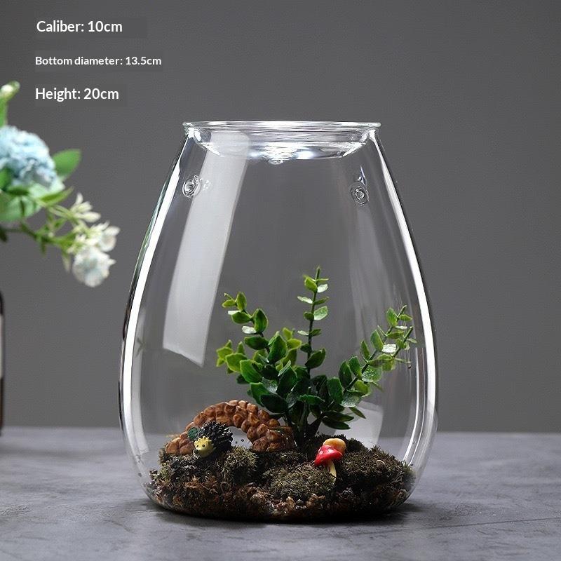 Micro Landscape Glass Bottles with Cover Fresh Green Succulent Moss Bottle Glass Vase Glass Terrarium Bonsai Home Desktop Decor