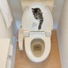 Cartoon Cat Toilet Sticker Bathroom and Bathroom Beautification Decoration Toilet Lid Waterproof 3D Self-Adhesive Sticker