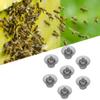 100 Pezzi Cellule di Allevamento per Api Regine Tazza Gabbia di Allevamento in Plastica Accessori per Apicoltura Forniture