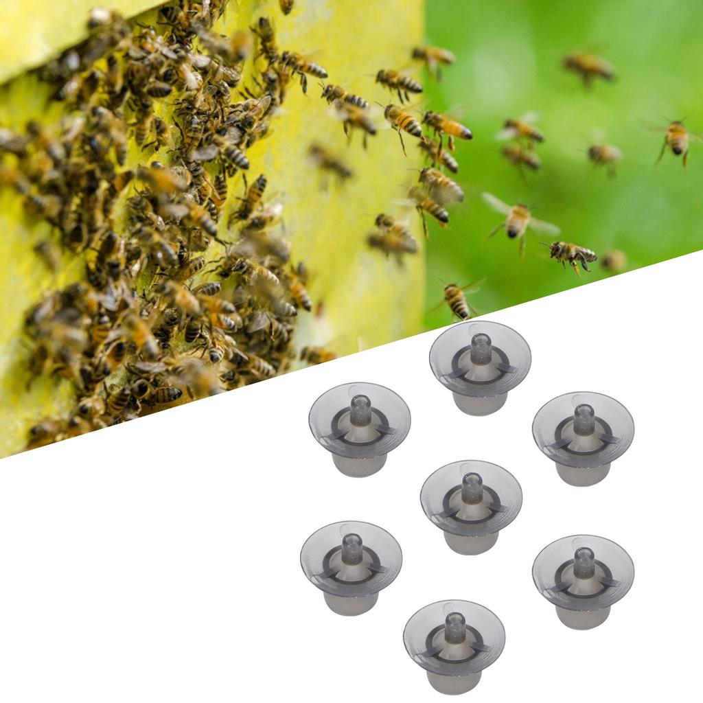 100 Pezzi Cellule di Allevamento per Api Regine Tazza Gabbia di Allevamento in Plastica Accessori per Apicoltura Forniture