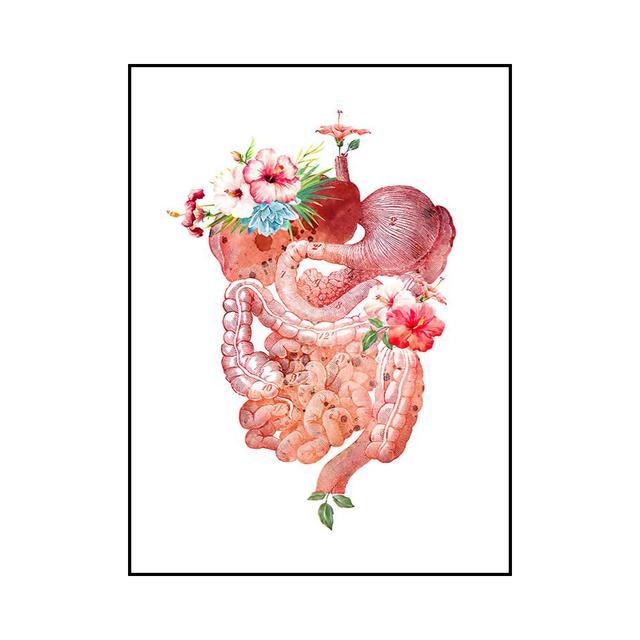 Αφηρημένα όργανα, οστά, δόντια, έγχρωμη αφίσα τέχνης τοίχου, διακόσμηση σπιτιού, ελαιογραφία, τοιχογραφία