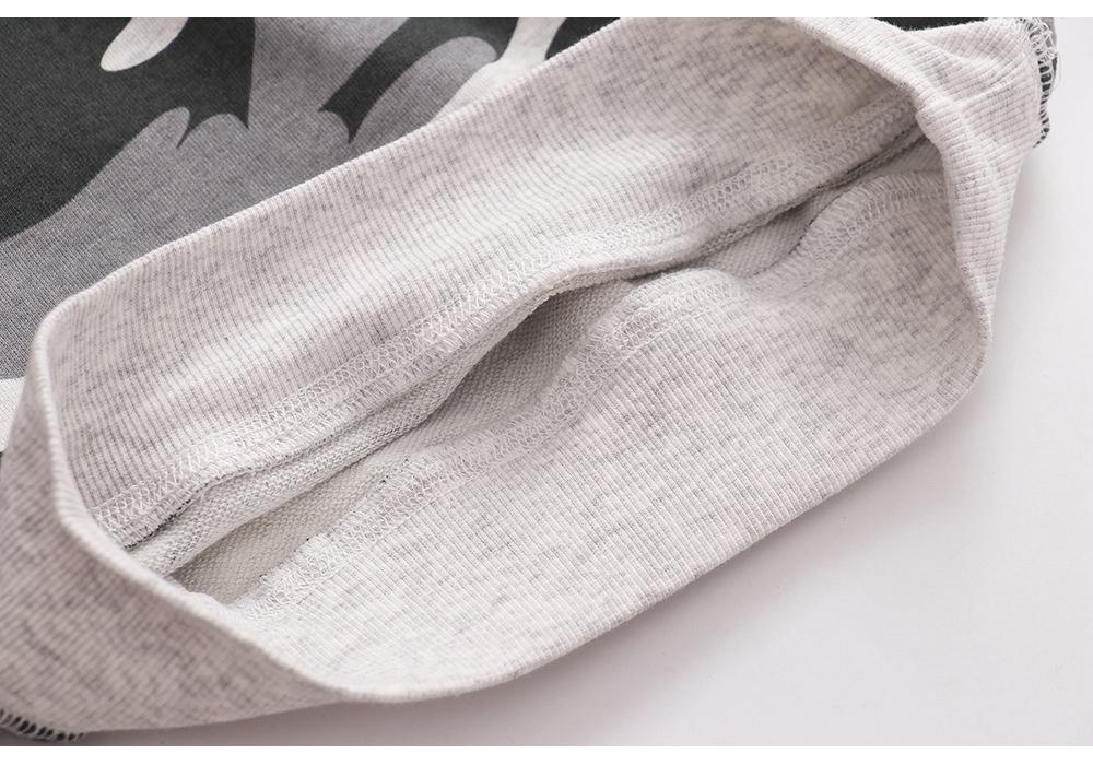 Boys' Cartoon Cotton Round-Neck Sweatshirt - Children's Autumn Long-Sleeve Clothing