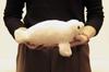 Yoshitoku Made in Japan Plush Toy Alazan SS 187907