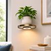 Floating Wall Shelf with Built-in Lights, Modern Plant Display Shelf, -Saving Mount, for Living Room and Bedroom