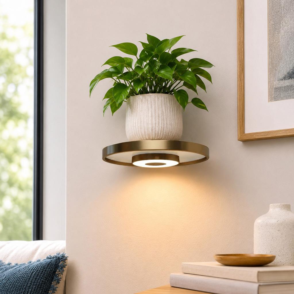 Floating Wall Shelf with Built-in Lights, Modern Plant Display Shelf, -Saving Mount, for Living Room and Bedroom