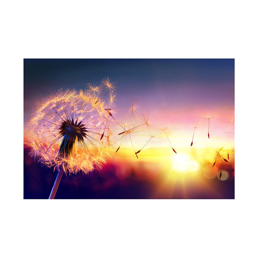 Romantic Dandelion Background Tapestry for Events,Party Banner,Home Decor,Weddings,Photo Booths