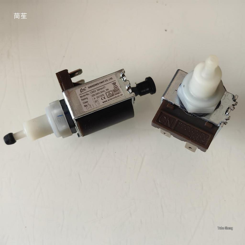 Handheld Garment Steamer Accessory: SNS2 9W Solenoid Valve Micro Pump 220V