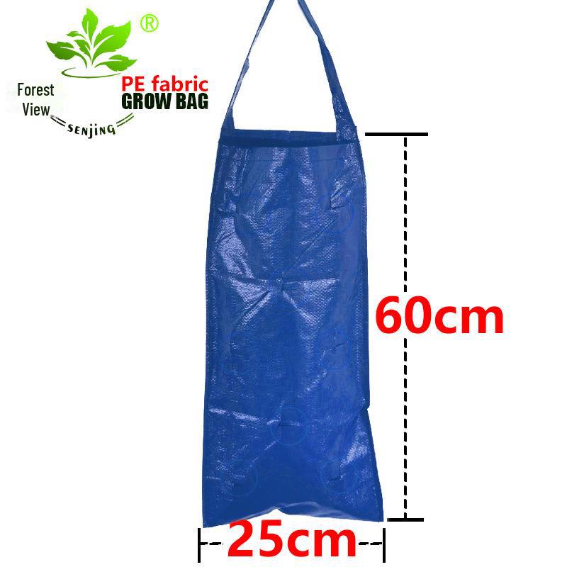 Senjing PE Hanging Strawberry Planter Growth Bag