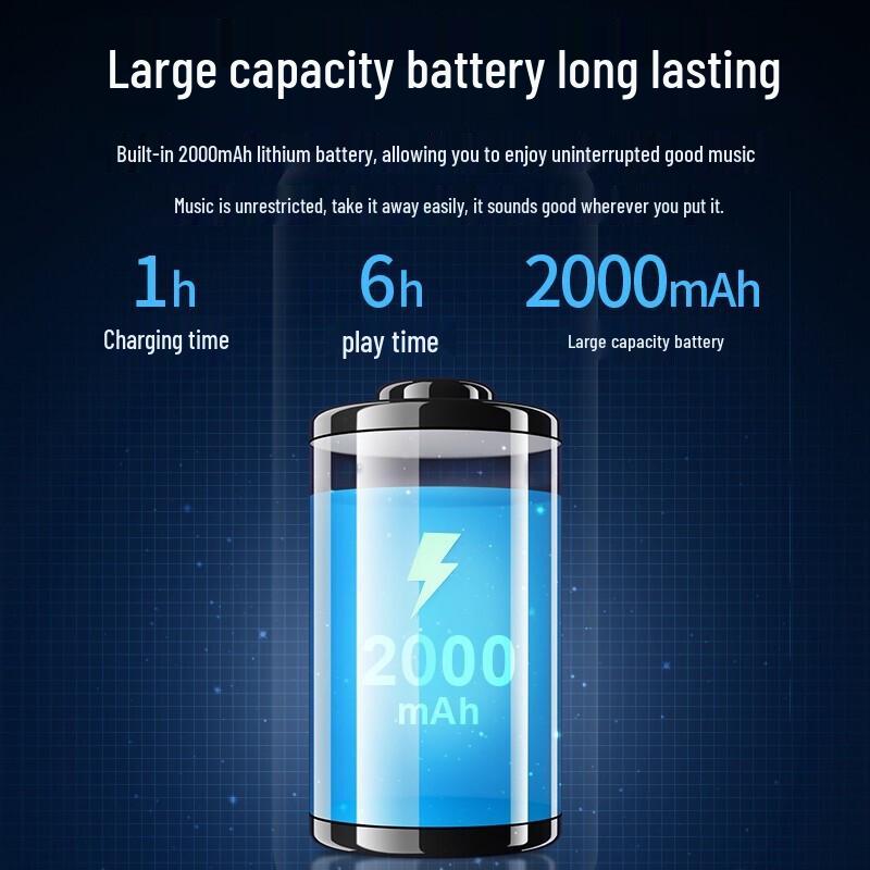 Newman BT58 Portable Wireless Bluetooth Speaker