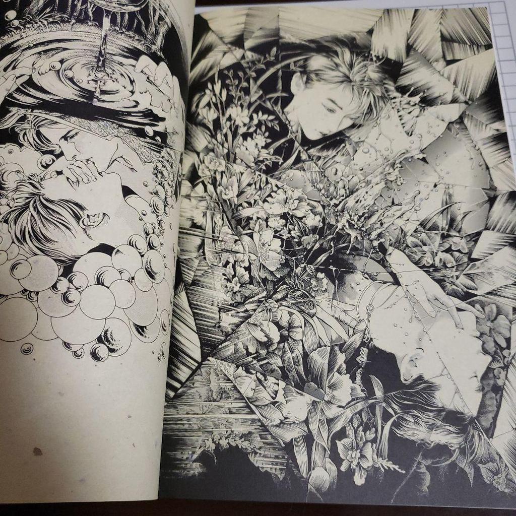 [USED] Ayumi Kasai Art Book Tsukiyoe