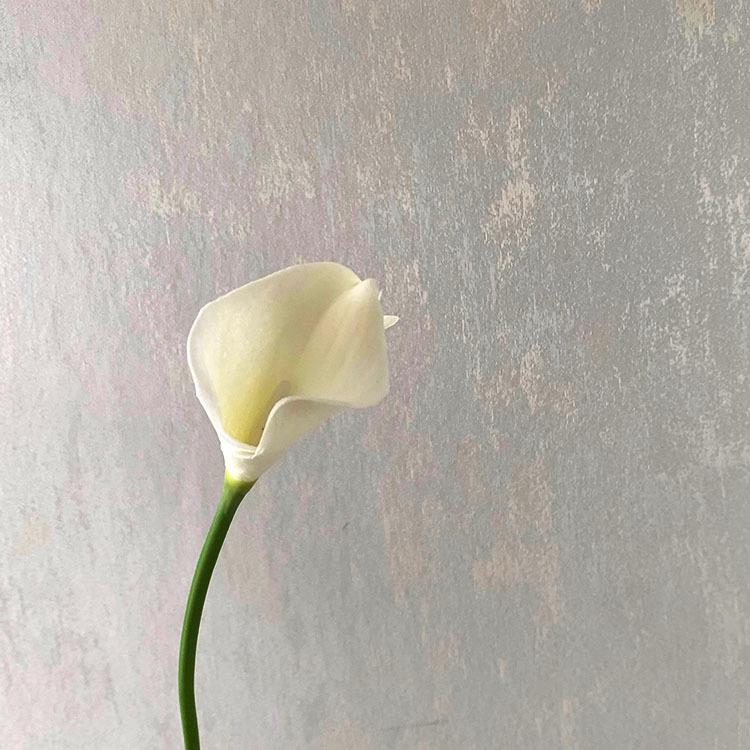 5PCS White PU Fake Flower Artificial Calla Lily for Home Decor Wedding Bridal Bouquet Home Table Flower Bouquet Decor 36CM