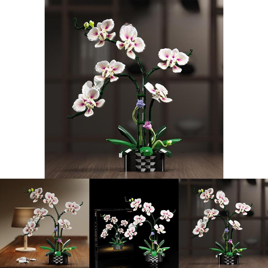 Cymbidium Building Block Toy With Abs Plastic For Children Diy Creative Play Gift