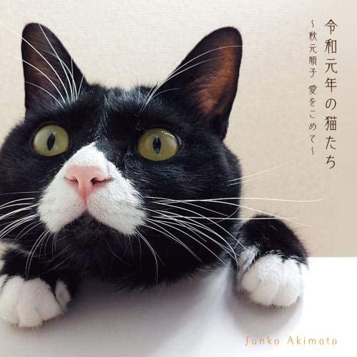 

CD JUNKO AKIMOTO - Reiwagannen no neko tachi KICX1102 Japan ObiJapanese Pop/Rock Used