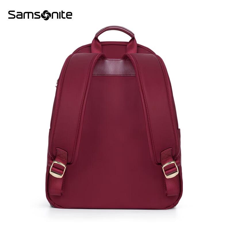 Samsonite TT3*20002 13-inch Business Commuter Laptop Backpack 13-inch