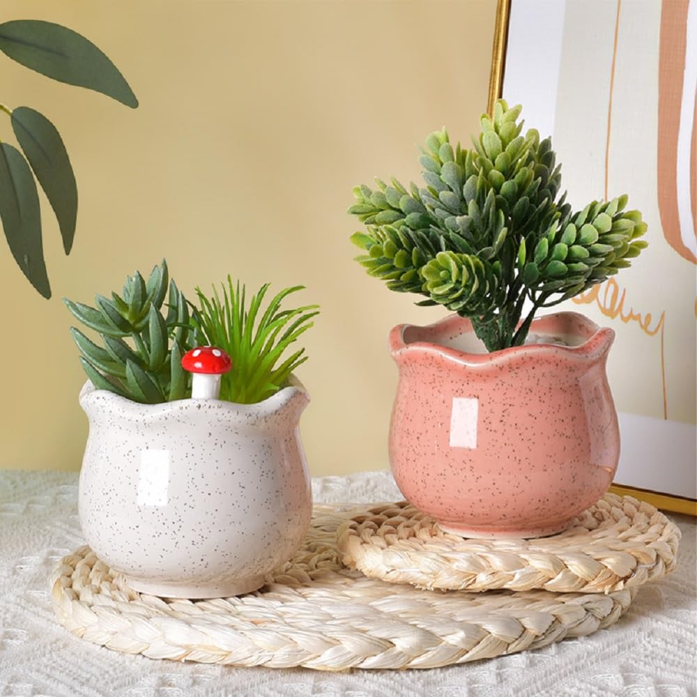 Siawadeky Cute Flower Set of Stylish Succulent Macaron Ceramic Planter Round Cactus Suitable for Mini Garden Drainage Hole Included Pots, 6, Pots,