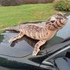 Lizard Plush Simulation Toy Cartoon Four Legged Snake Holiday Gift Boys For