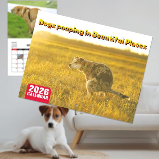 2026 Wall Calendar Dog Pooping/Angry Cat Calendar January 2026 - December 2026