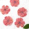 20PCS Exquisite Flower Patch Fabric DIY Silk Flower Flower Applique  Hair Clips Decor
