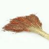 Chaobao Sorghum Broom