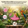Parrot Perch Branch Natural-Wood Texture Anti-Shedding Bird Cage Accessory for Small Birds