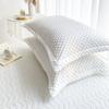 Soft Pillowcase Warm Pillow Cover Rectangle Cushion Cover 50x75cm White Pillow Case capa de almofada 2pcs Velvet Pillowslip