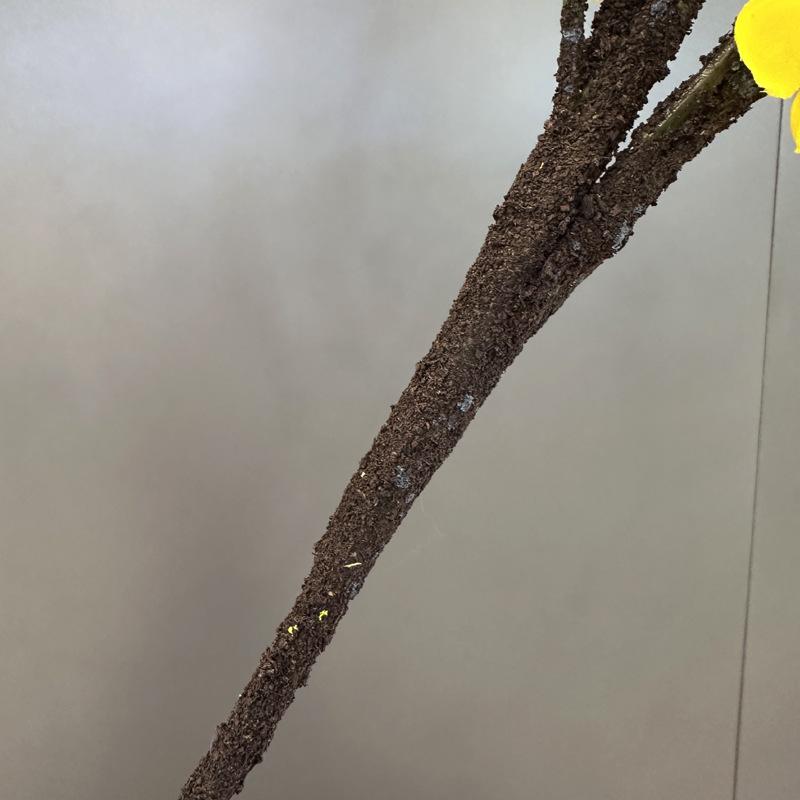 Plum Blossom Branch with Thick Stem - Chinese Style Winter Sweet for Living Room Decor and Landscaping