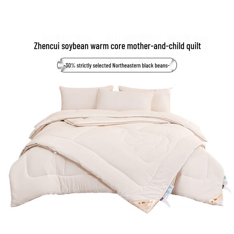 

Dohia Premium Soybean Warm Core All-Season Duvet Set