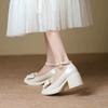 Chunky Heel  Mary Jane Shoes Spring and Autumn New Pumps Bow Retro High-heeled Shoes for Women Fashion Loafers