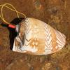 Street Stall Conch Shell Whistles & Toys: Creative Souvenirs