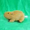 Continental Walk Friend Bohnen Capybara Plüschtier Höhe 15cm