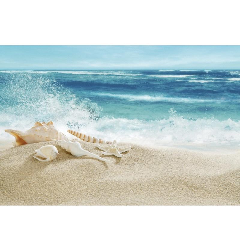 Decorazione Sfondo Spiaggia Tropicale Conchiglia Stella Marina Vacanza Estiva Per Festa in Piscina Sfondi Per Fotografie