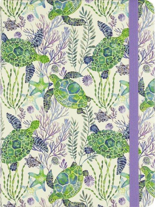 Mid-Sized Oceanic Turtles Notebook