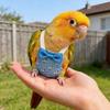 Bird Diaper Parrot Flight Suit Anti-Cold Belly Guard  Parrot Diaper Pants for  Outing Wear Adjustable