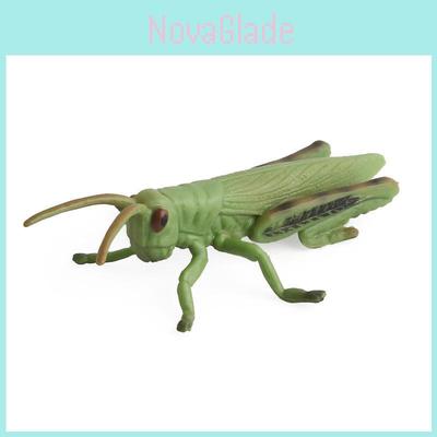Insect Animal Bees Spiders Model Collection Pvc Realistic Replicas For Educational Display And Learning