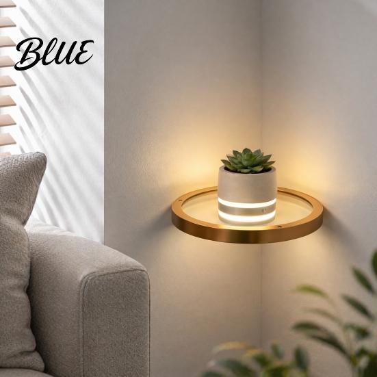 Modern Gold Metal Display Shelf Floating Wall with LED Light Rack Warm Ambient Light for Plants Book Space Saving Mounted Decor Hidden Bracket Sleek