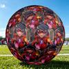 1pc Ladybug Pattern Standard Size 5 Soccer Ball, Gentle on the Feet, Designed Specifically for Matches and Training Football